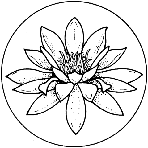 Water Lily Blossom Coloring Page